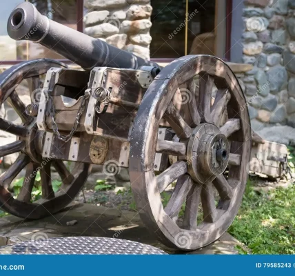 Cannons A History of Artillery