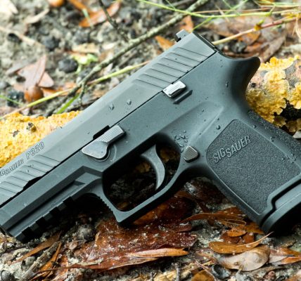 Sig Sauer P320 A Modern Classic